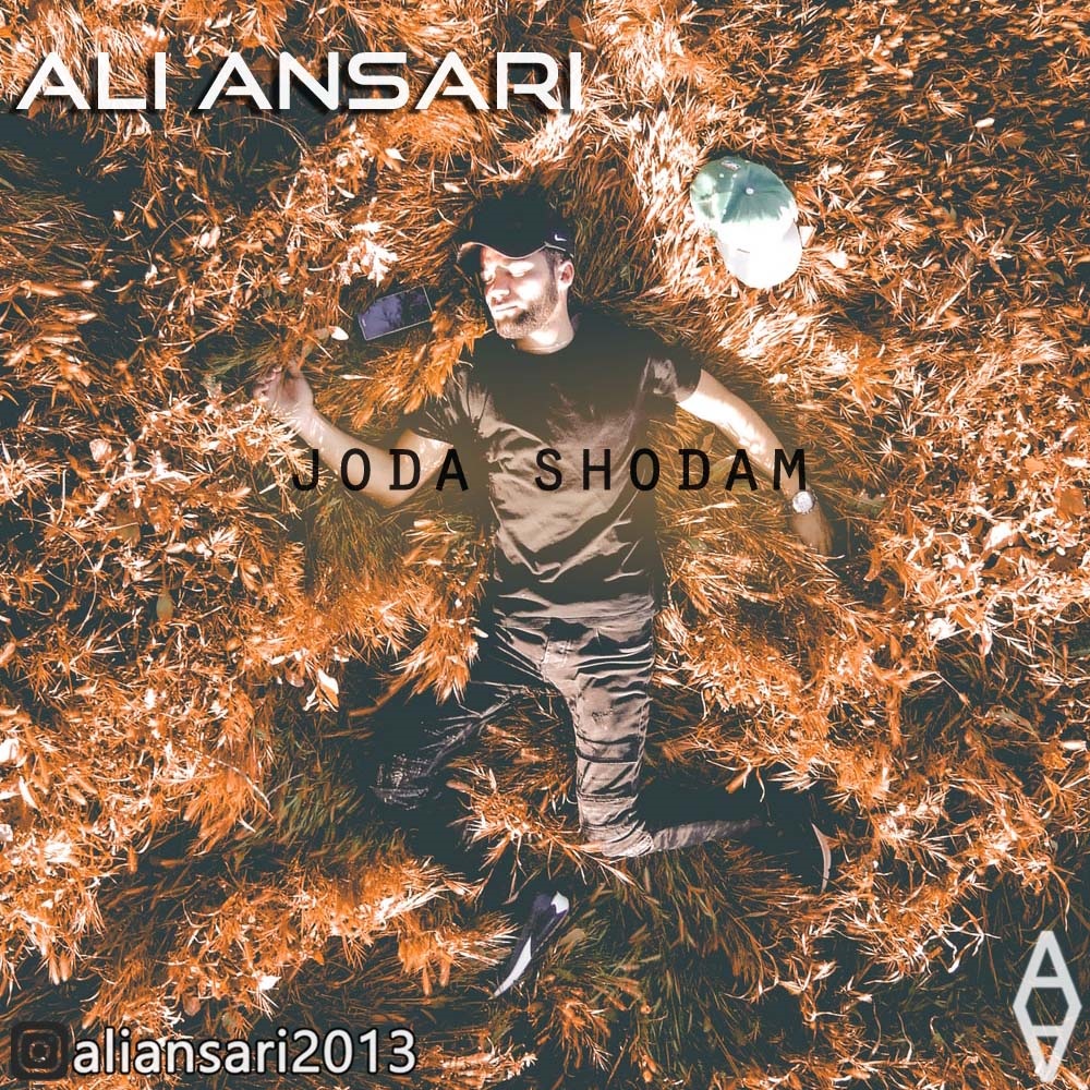 Ali Ansari